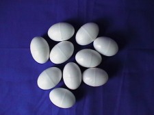 Pigeon Dummy Hollow Eggs Pack of 10