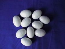 Pigeon Dummy Solid Eggs Pack of 10