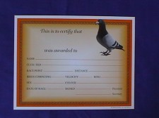 Race Diploma Blanks For Winning Birds