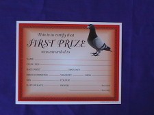 Race Diplomas For Winning Birds
