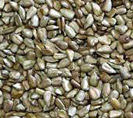 Sunflower Hearts 20 kg Special offer