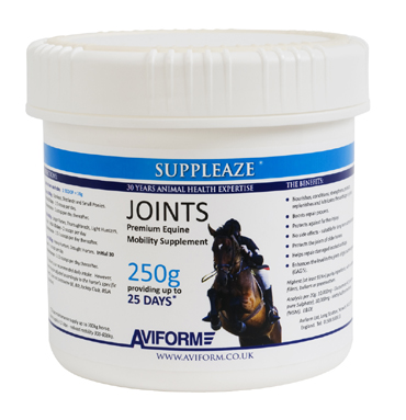 SUPPLEAZE Equine Joint Support
