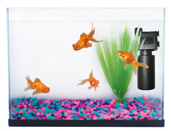 FRF-310KIT SMALL AQUARIUM KIT