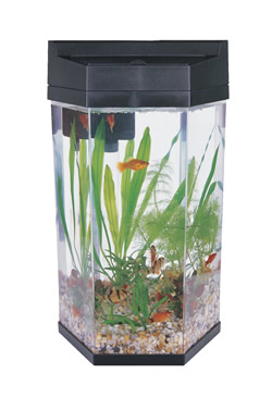 FRF-355 HEX PLASTIC TANK BLACK & SILVER