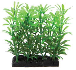 FRF-520 GREEN PLANT & BASE