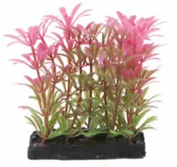 FRF-521 PINK/GREEN PLANT & BASE
