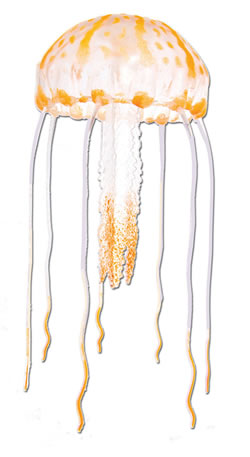 Glowing Jellyfish Aquarium Fish Tank Novelty Ornament Orange 10cm