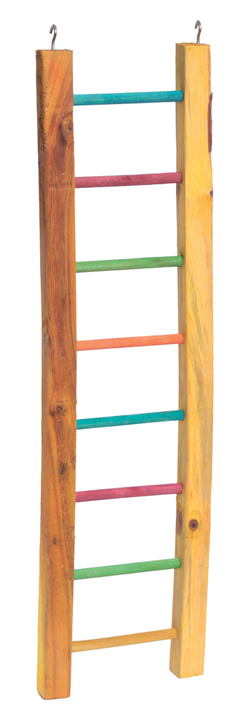 LB-29 WOODEN LADDER 