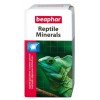 Beaphar Reptile Minerals (100g)
