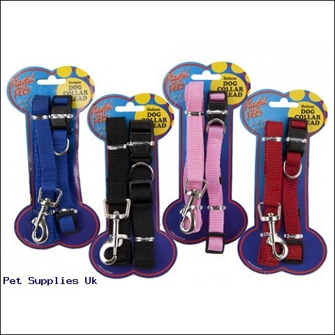 2PC DOG LEAD & COLLAR SET ON  CARD MATERIAL PP 2 ASST SIZES