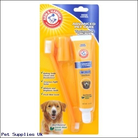 Arm & Hammer Tartar Control Beef Flavoured Toothpaste and Brush Set 