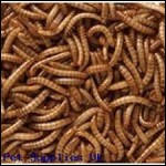 Dried Mealworms & Insects Mixture 1kg
