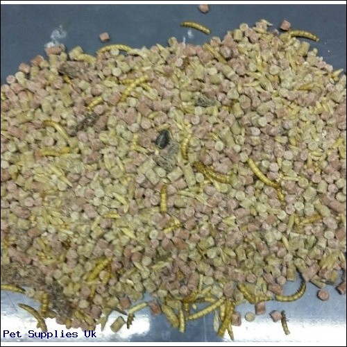 10kg Mixed Berry & Insect Suet Pellets with Mealworms & Seed