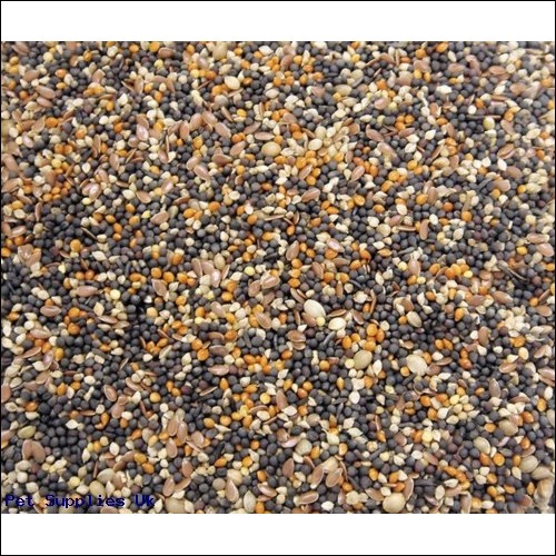 Colonels Canary Conditioning Seed 2 kg