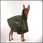 Green Hooded Dog Poncho Cape Raincoat 24 inch